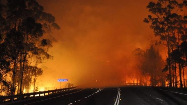 Льюис Хэмилтон пожертвует $500 000 на борьбу с пожарами в Австралии